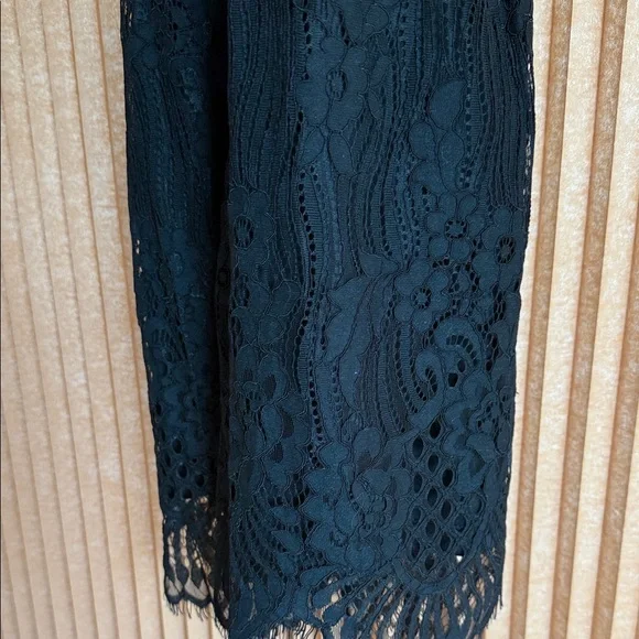 Aooksmeary Elegant Black Lace Dress - Picture 6 of 7